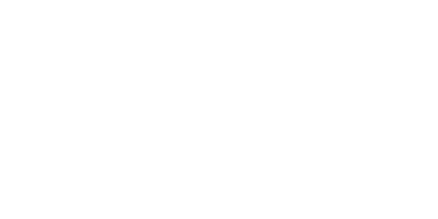 AEROPOSTALE
