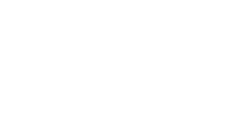 US POLO