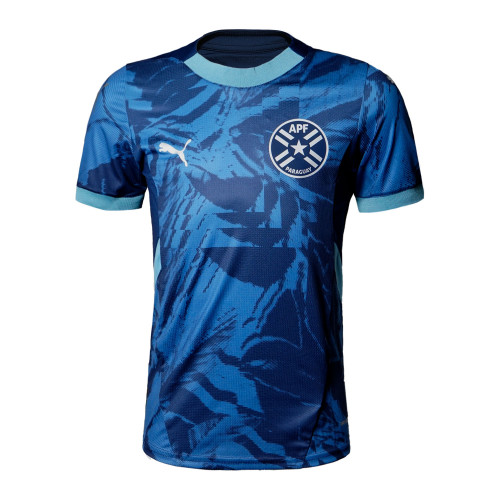 REMERAS CAMISETAS