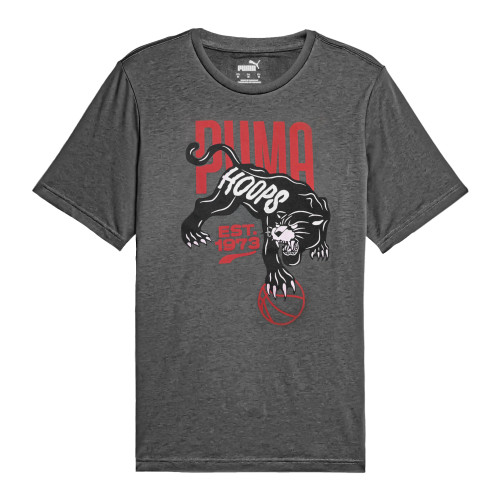 Vista previa PUMA GRAPHICS TEE