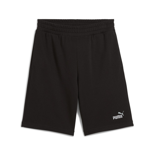 Vista previa ESS 2 COLOR NO. 1 LOGO SHORTS 10' TR