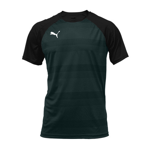 Vista previa TEAMVISION JERSEY